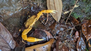 PXL_20251206_133458680