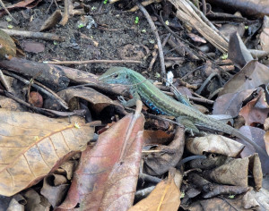 PXL_20251206_155249951~2