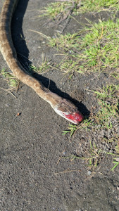 PXL_20251207_125128716