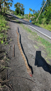 PXL_20251207_125328057