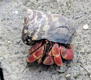 PXL_20251212_121847806~2