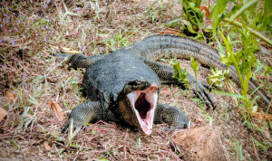 PXL_20260110_020629349~2