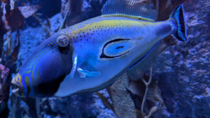 PXL_20260110_070031240