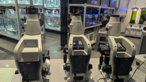 PXL_20260110_070159251