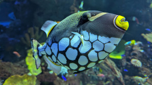 PXL_20260110_071639607