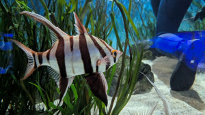 PXL_20260110_071805539