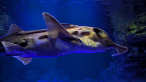 PXL_20260110_072519854