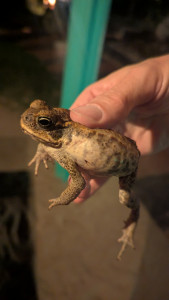 PXL_20260113_120808545