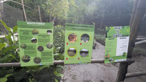 PXL_20260115_004142731