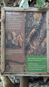 PXL_20260115_005847146.PORTRAIT