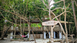 PXL_20260115_014835298~2